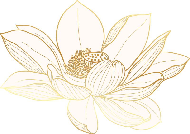 Luxury lotus flower gold line element vector